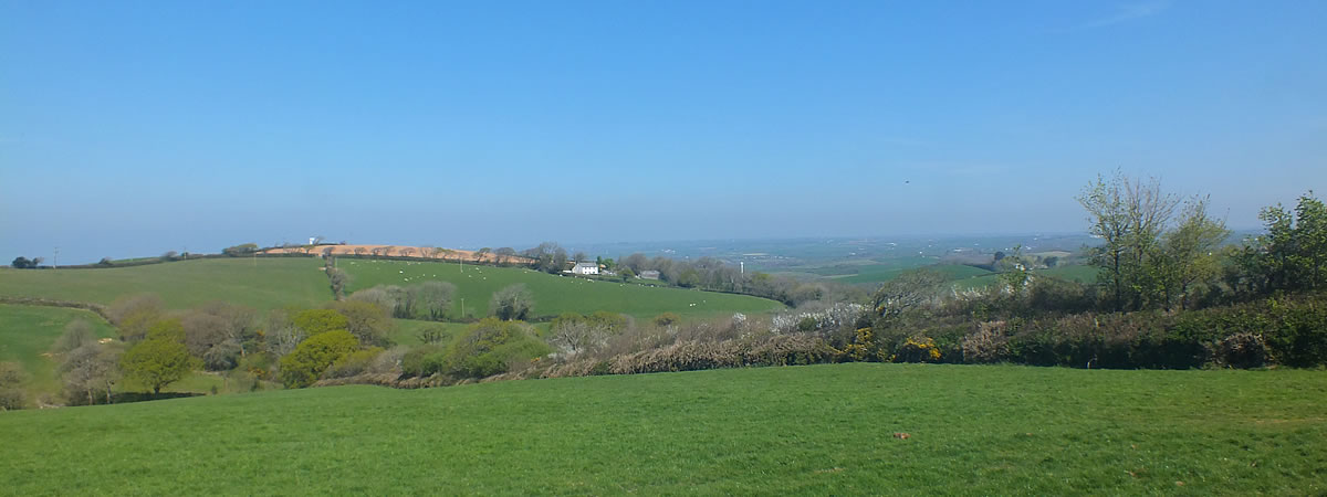 Image 05